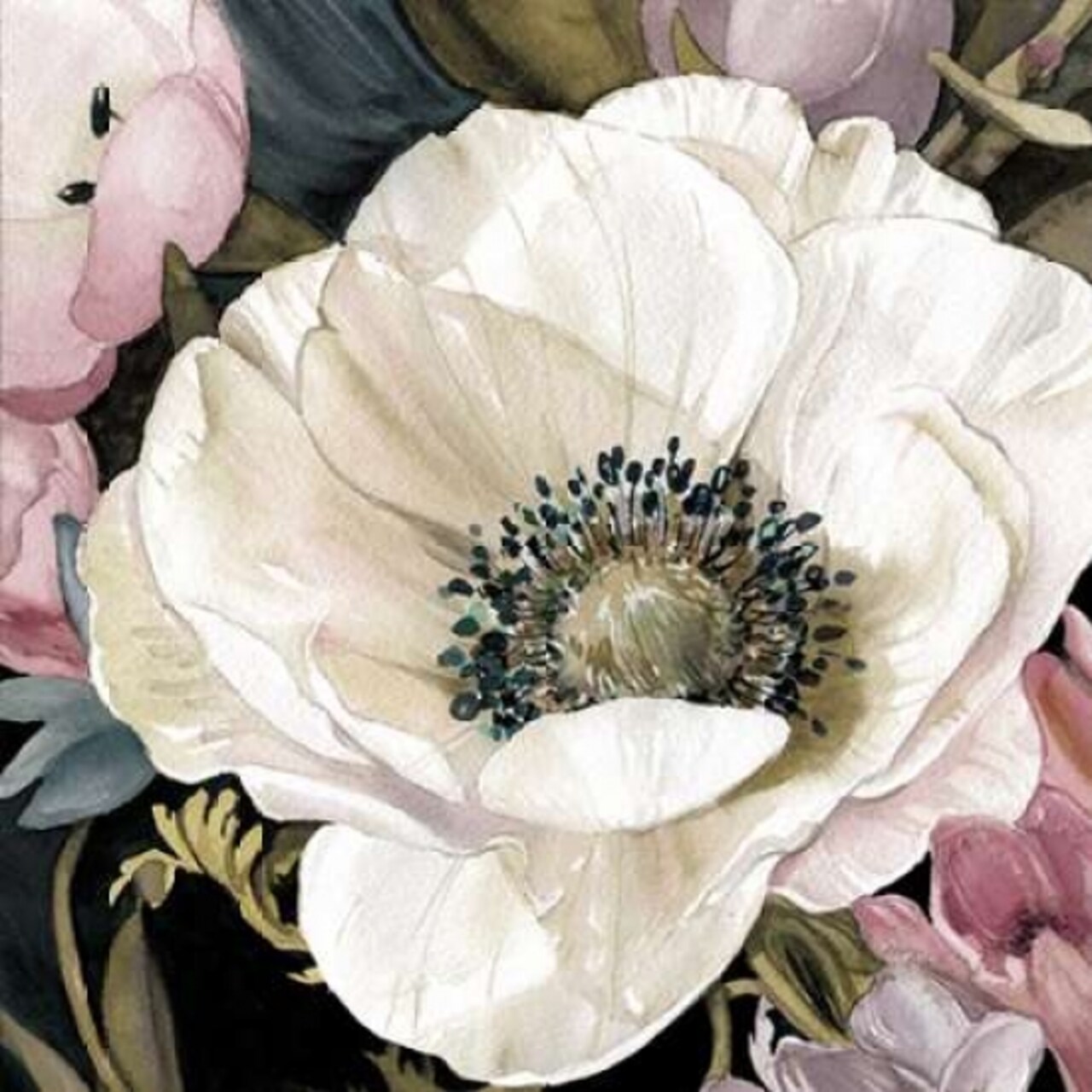 Anemone Study II Poster Print by Carol Robinson - Item # VARPDX17145